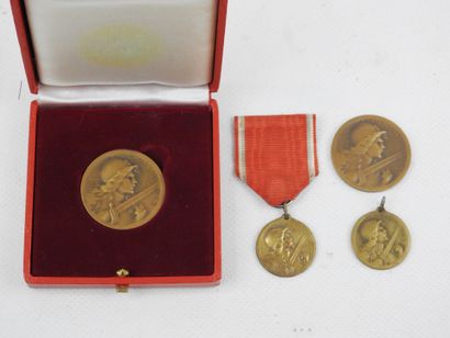 DECORATIONS. FRANCE. Medal of Verdun, lot...