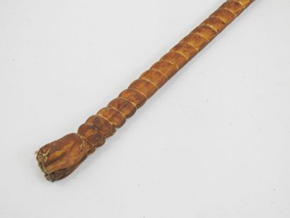 FRANCE. CANNES. Cane made of ox nerves rolled...