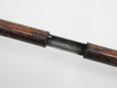 FRANCE. CANNES. Cane-rifle with system mechanism...