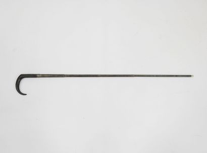 FRANCE. CANNES. Cane-rifle with metal barrel,...