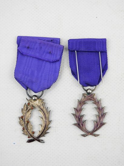 DECORATIONS. FRANCE. Order of the academic...
