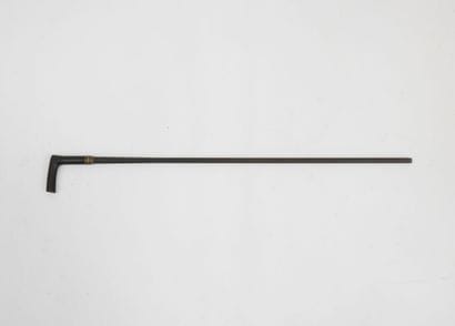 FRANCE. CANNES. Cane-rifle with metal barrel,...