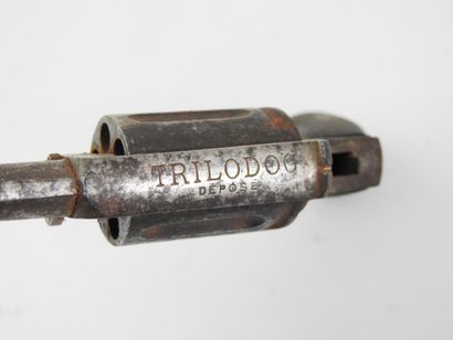 BELGIUM. Velodog