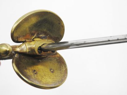 FRANCE. Sword of junior officer of the health...