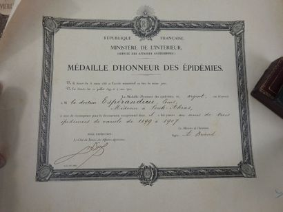 DECORATIONS. FRANCE. Officer's academic palm...