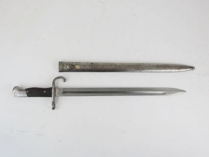 ARGENTINA. Bayonet model 1909 for the Mauser...