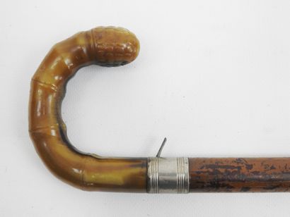 FRANCE. CANNES. Cane-rifle with system mechanism...