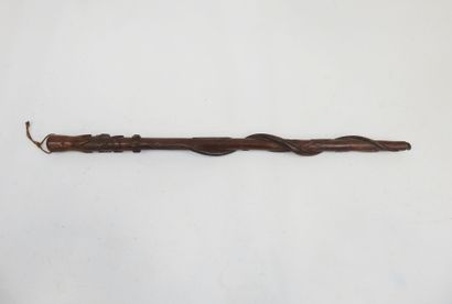 FRANCE. CANNES. Cane of hairy in dark wood...