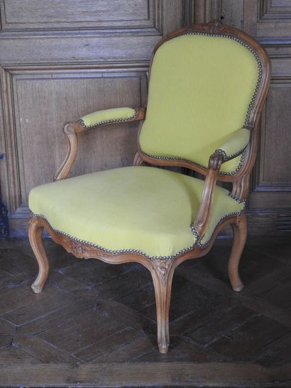 Pair of armchairs in natural wood molded...