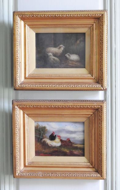 School of the XXth century: Chickens and...