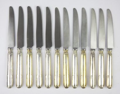 Set of twelve small knives with metal blade...
