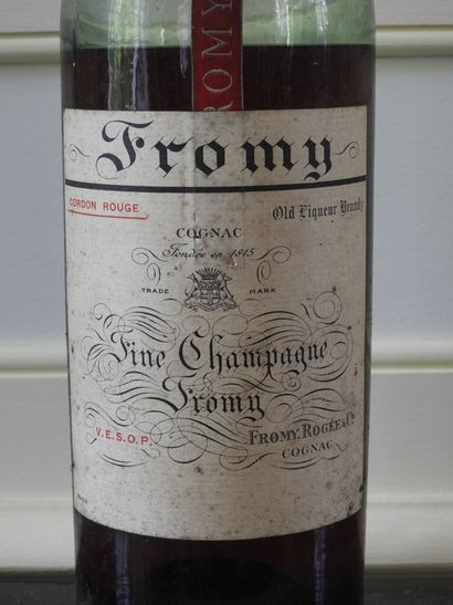 Large bottle of Fine Champagne Cognac FROMY....