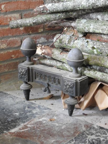 Pair of andirons and their bronze irons decorated...