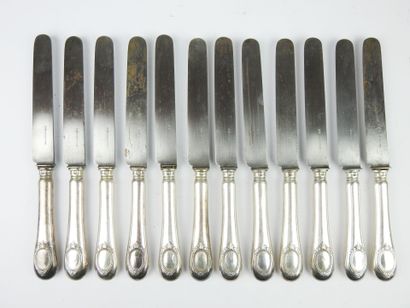 Suite of twelve large knives with steel blade...