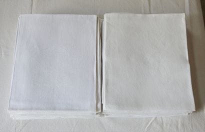 Twenty-four napkins matching the previous...
