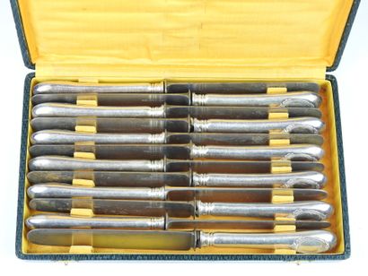 Suite of twelve large knives with steel blade...