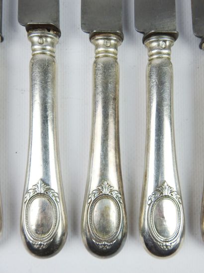 Suite of twelve large knives with steel blade...