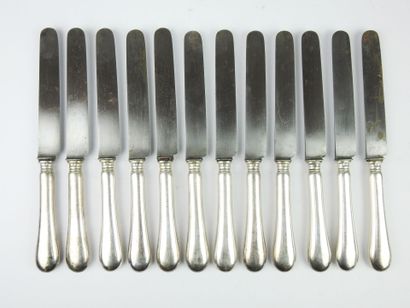Suite of twelve large knives with steel blade...