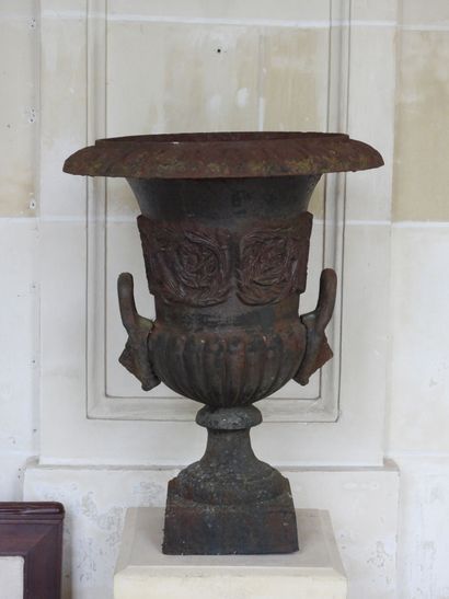 Pair of cast iron Medici vases resting on...