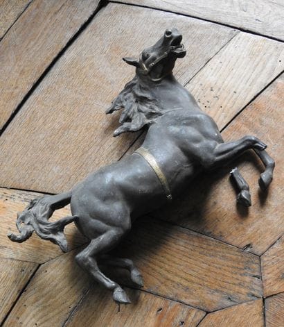 After Guillaume COUSTOU : Horses and trainers....