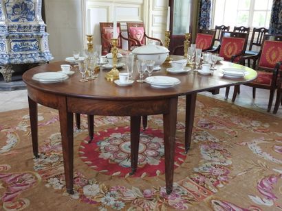 Mahogany dining room table with band, resting...
