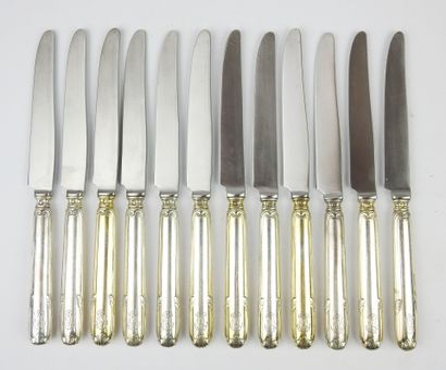 Set of twelve small knives with metal blade...