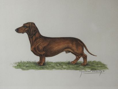 Maurice BRAILLY - XXth century : Two dog...