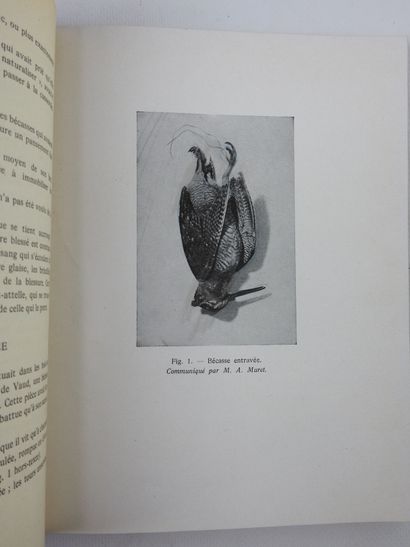 Edouard DEMOLE. 1000 woodcocks. Paris, Les...