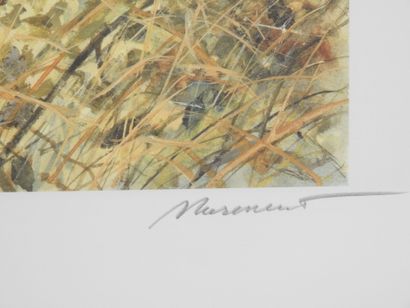 Michel MIEUSEMENT - XXth century : Snipe...