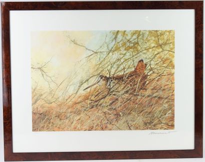Michel MIEUSEMENT - XXth century : Woodcock....