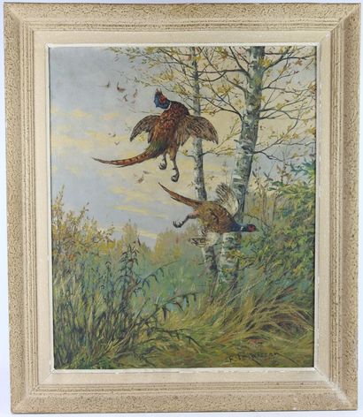Fernand MAISSEN (born in 1873): Pheasant...