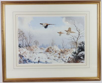 J.C. HARRISON (1898-1985) after : Pheasants...