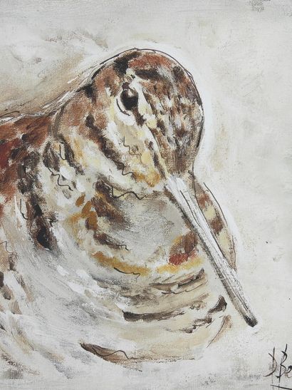 Daniele BELIN - XXth : Woodcock. Oil on canvas...