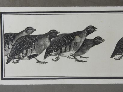 Paul MARCUEYZ (1877-1952), after : Partridge...
