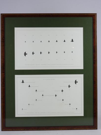 Laurent BERTIN (born 1954) : Eye bird shooting....