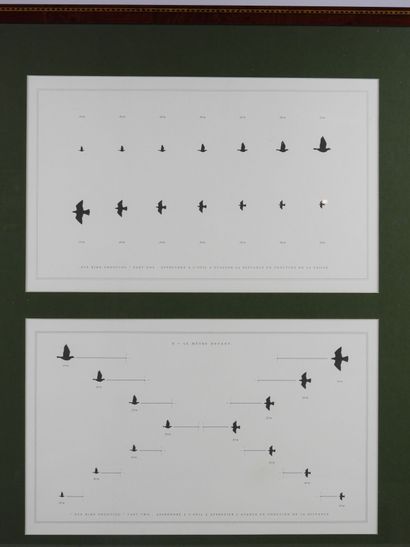 Laurent BERTIN (born 1954) : Eye bird shooting....