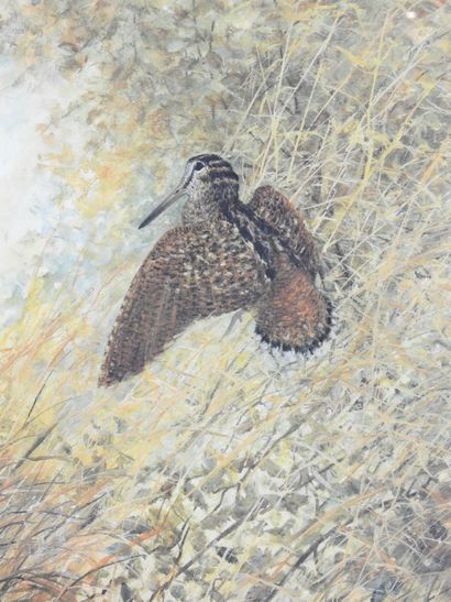 Michel MIEUSEMENT - XXth century : Snipe...