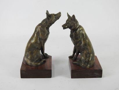 Louis RICHE (1877-1949) : Shepherd dogs....