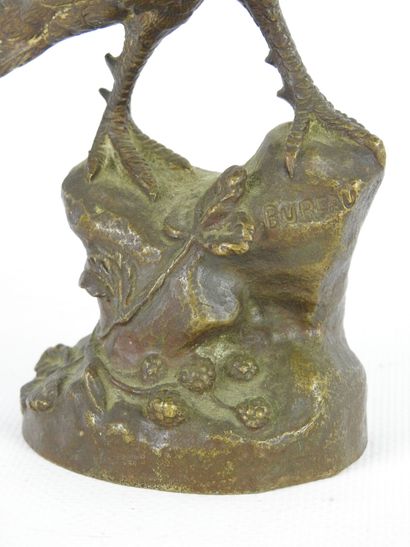 Léon BUREAU (1866-1906) : Pheasant. Bronze...