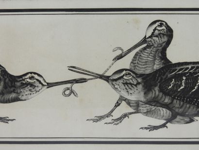 Paul MARCUEYZ (1877-1952), after : Woodcock...