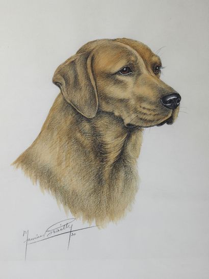 Maurice BRAILLY - XXth century : Two dog...