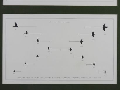Laurent BERTIN (born 1954) : Eye bird shooting....