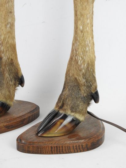 PAIR of lamp feet deer leg mounted on a wooden...