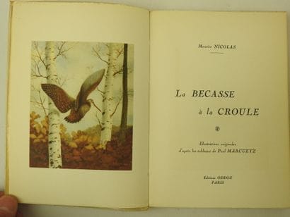 Maurice NICOLAS. La bécasse à la croule....
