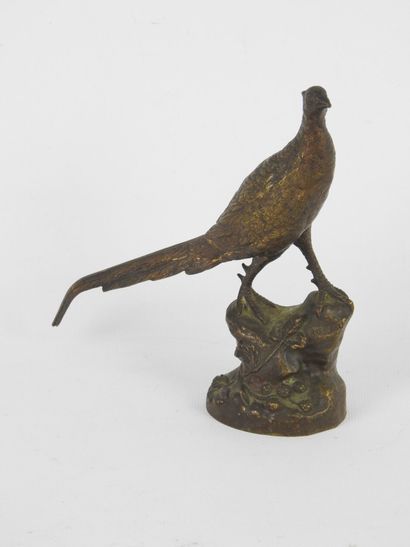 Léon BUREAU (1866-1906) : Pheasant. Bronze...
