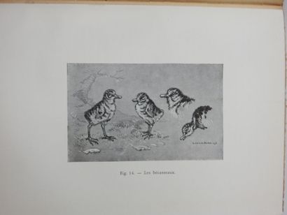 Georges BENOIST. Woodcock and woodcockers....