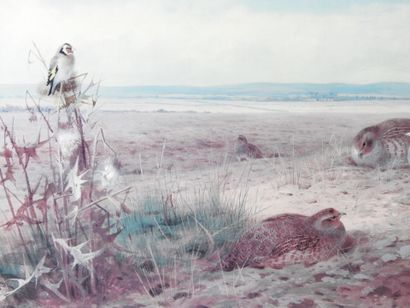 Archibal THORBURN (1860-1935) after : Family...