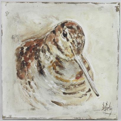 Daniele BELIN - XXth : Woodcock. Oil on canvas...