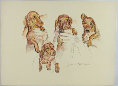 Jacques FAVRE DE THIERRENS (1895-1973): Study...