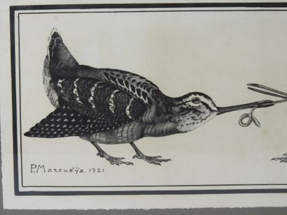 Paul MARCUEYZ (1877-1952), after : Woodcock...
